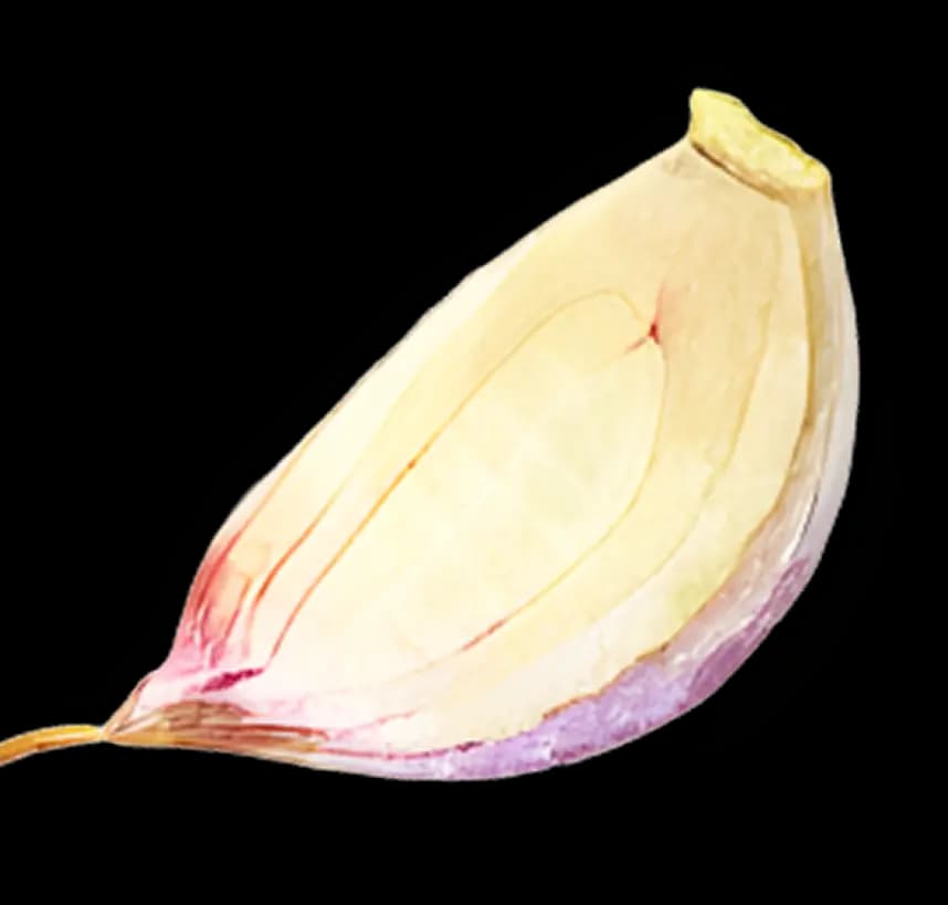 halfOnions